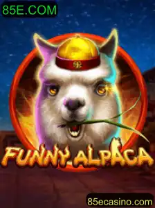 Descubra o Divertido Mundo de FunnyAlpaca